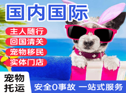 鸡西机场空运国际宠物托运 【国